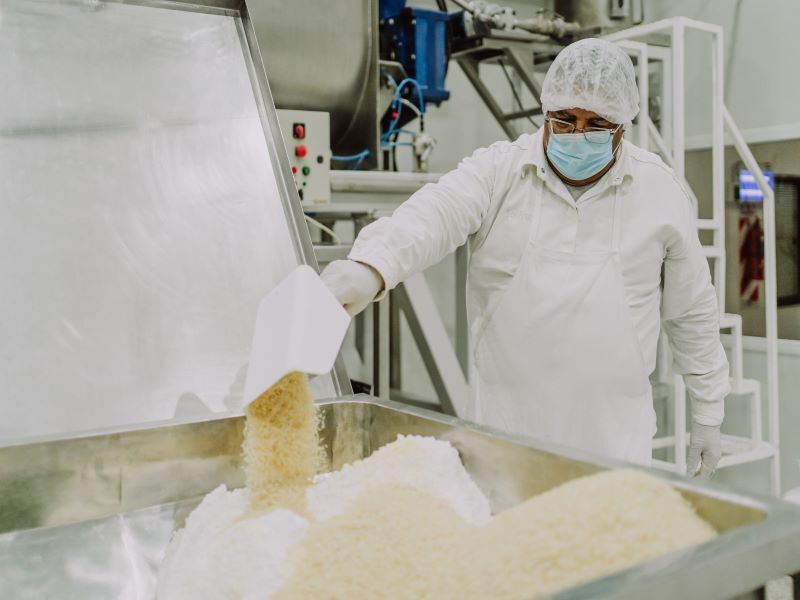 SOLFRUT INDUSTRIAS GRUPO PHRÓNESIS