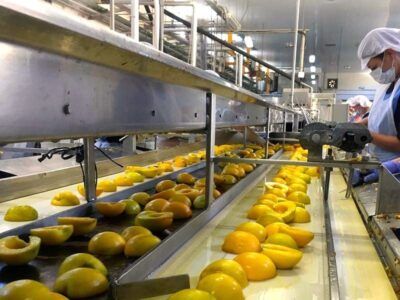 CAME, INDUSTRIAS, PYMES, ALIMENTOS Y BEBIDAS, PRODUCCIÓN INDUSTRIAL PYME
