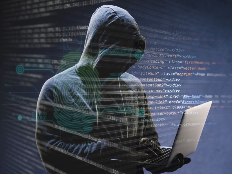 NAPSE, TECNOLOGIA, RETAIL, TIENDAS FALSAS, ECOMMERCE, COMERCIO ELECTRONICO, CIBERDELINCUENCIA